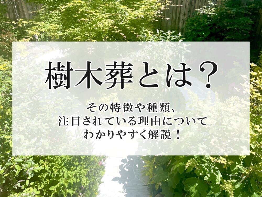 樹木葬とは？その特徴や種類、注目されている理由についてわかりやすく解説！