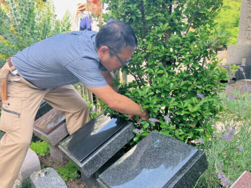 アンカレッジ社内植栽講習会