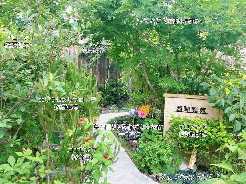 西陣庭苑の植栽のバランス.jpg