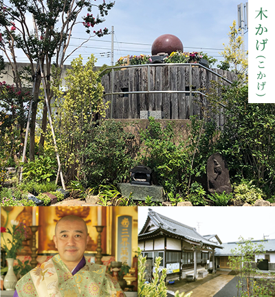 木かげ（こかげ）
