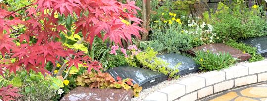 アンカレッジの樹木葬