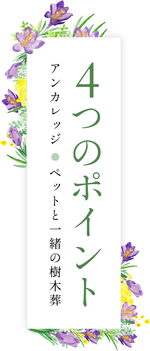 4つのポイント