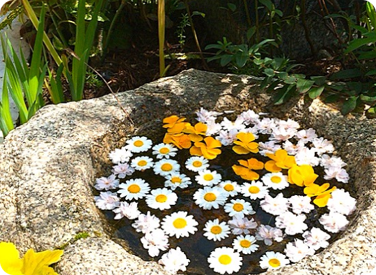 アンカレッジの樹木葬