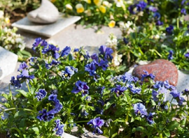 アンカレッジの樹木葬