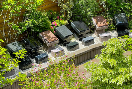 アンカレッジの樹木葬