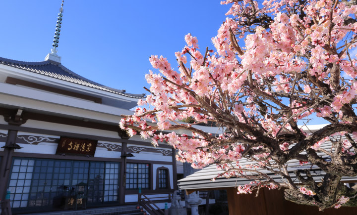 寺院外観の写真