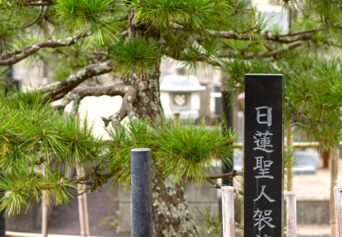 鴨川庭苑の写真1