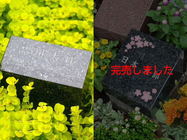 _re_ (640)●墓石素材2枚（桜）_1人用.png