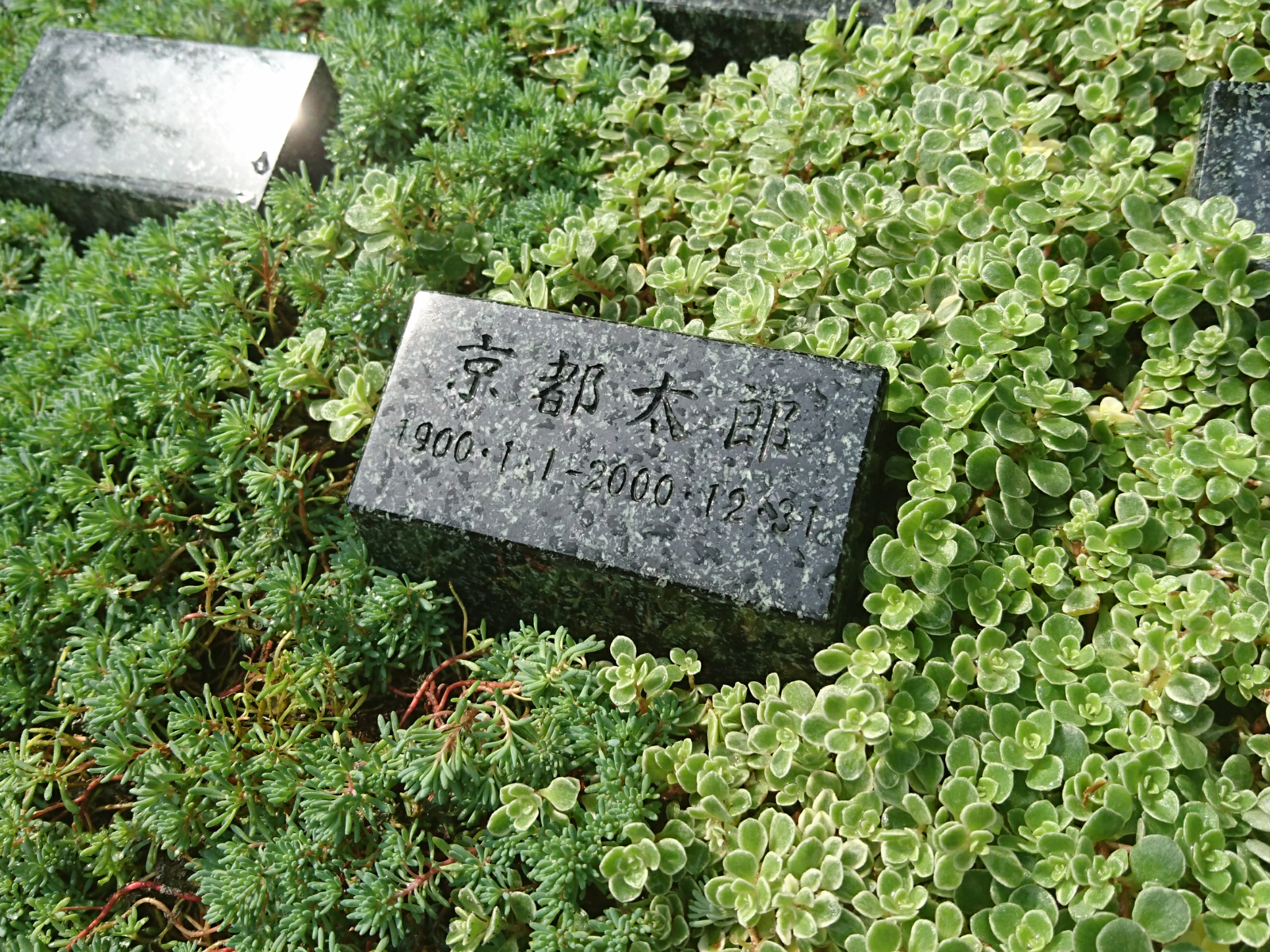 ●墓石素材HPベース (5).png