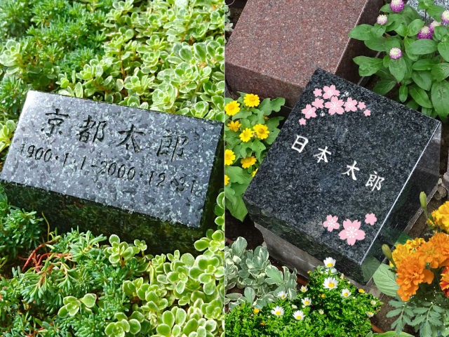 _re_ (640)●墓石素材2枚（桜華）_1人用.png
