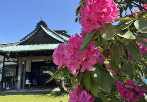 山北庭苑の写真2